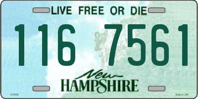 NH license plate 1167561