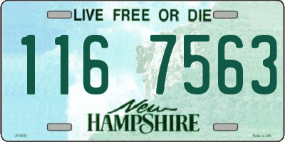 NH license plate 1167563