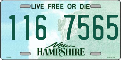 NH license plate 1167565