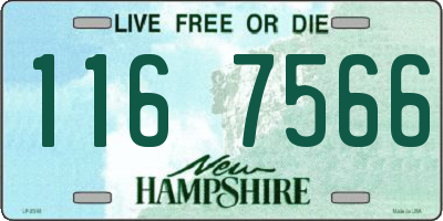 NH license plate 1167566