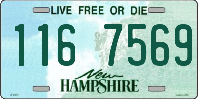 NH license plate 1167569