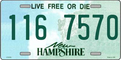 NH license plate 1167570