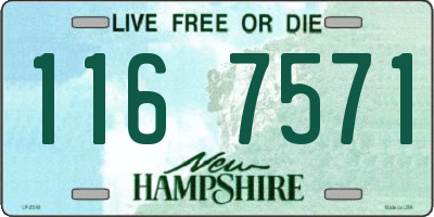 NH license plate 1167571