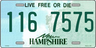 NH license plate 1167575