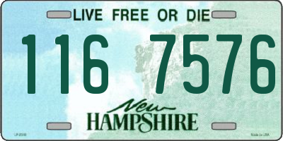 NH license plate 1167576