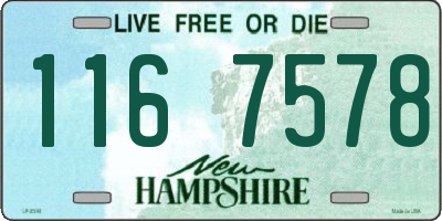 NH license plate 1167578