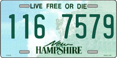 NH license plate 1167579