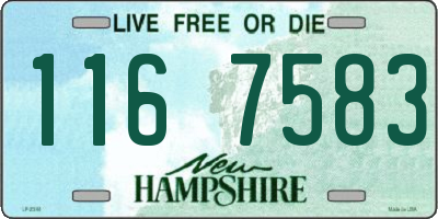 NH license plate 1167583