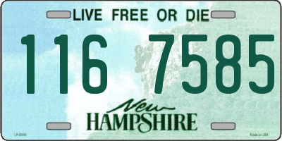NH license plate 1167585