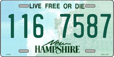 NH license plate 1167587
