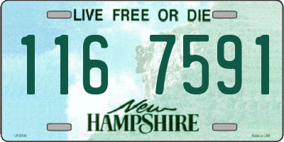 NH license plate 1167591