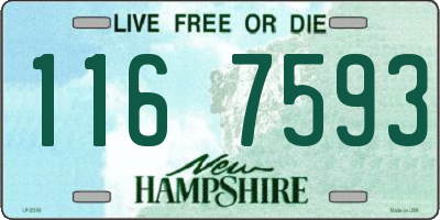NH license plate 1167593