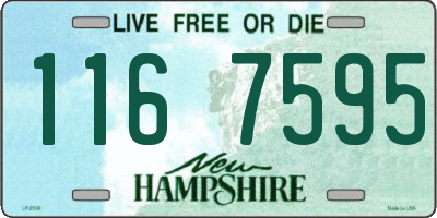 NH license plate 1167595
