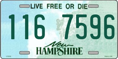 NH license plate 1167596