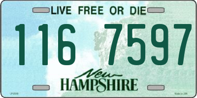 NH license plate 1167597