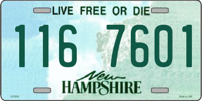 NH license plate 1167601