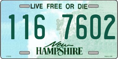 NH license plate 1167602