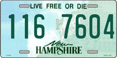NH license plate 1167604