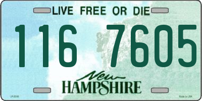 NH license plate 1167605