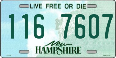 NH license plate 1167607