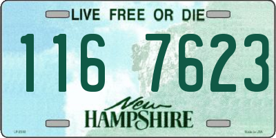 NH license plate 1167623