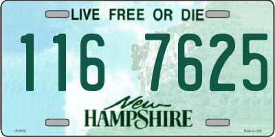 NH license plate 1167625