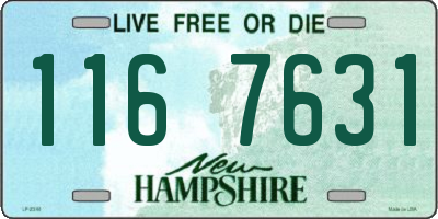 NH license plate 1167631