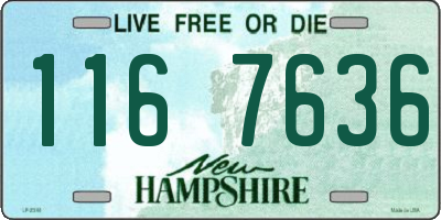 NH license plate 1167636