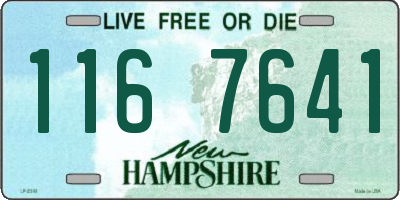NH license plate 1167641
