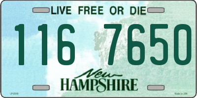 NH license plate 1167650
