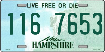 NH license plate 1167653