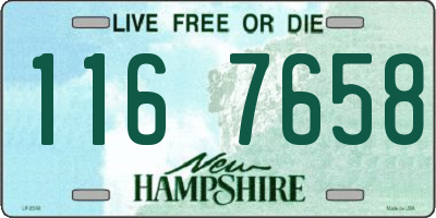 NH license plate 1167658