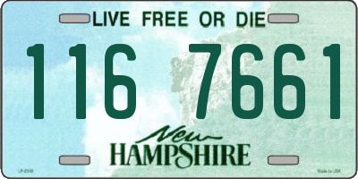 NH license plate 1167661