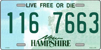 NH license plate 1167663
