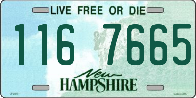 NH license plate 1167665