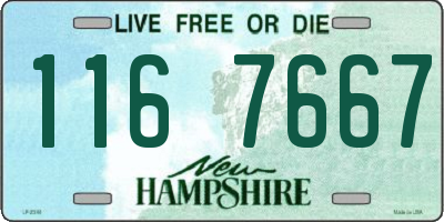 NH license plate 1167667