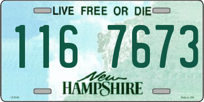NH license plate 1167673