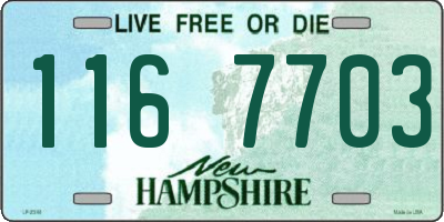 NH license plate 1167703