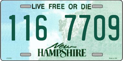 NH license plate 1167709
