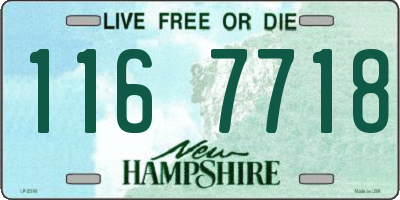 NH license plate 1167718