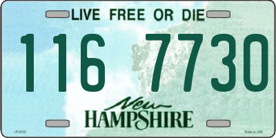 NH license plate 1167730