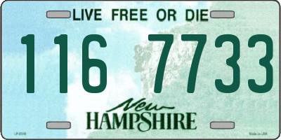 NH license plate 1167733