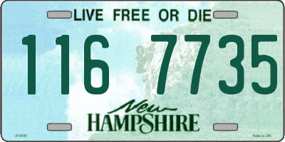 NH license plate 1167735