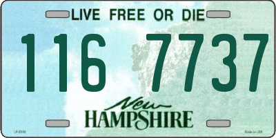 NH license plate 1167737