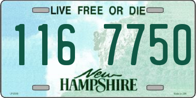 NH license plate 1167750