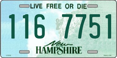 NH license plate 1167751