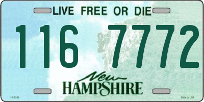 NH license plate 1167772