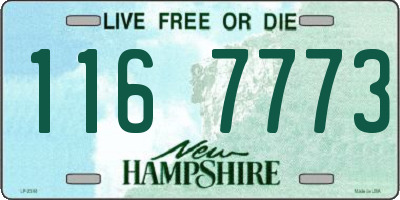 NH license plate 1167773