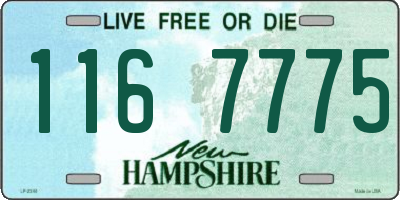 NH license plate 1167775