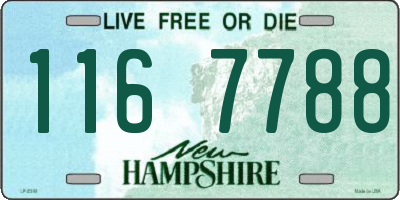 NH license plate 1167788